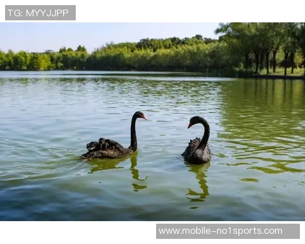 濮阳足球场周边景点推荐及美食攻略助你畅享精彩比赛日