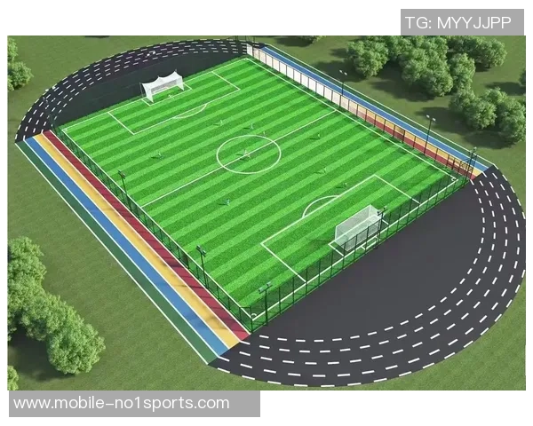 足球场上独特的图案设计与其背后的文化意义探讨